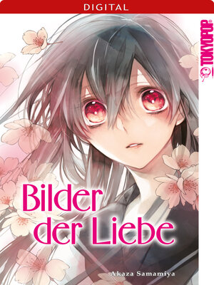 cover image of Bilder der Liebe